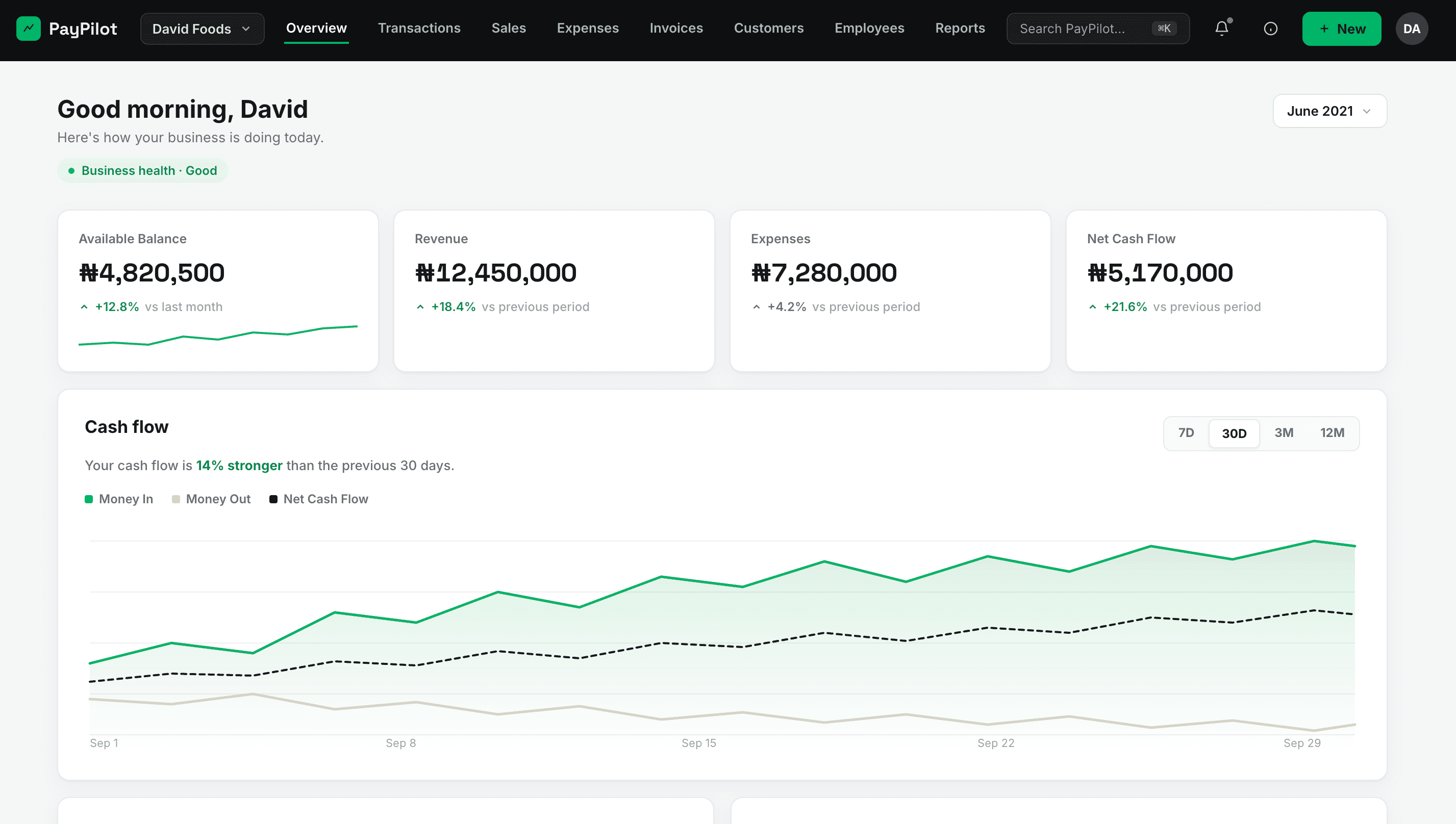 PayPilot SME Finance Platform preview